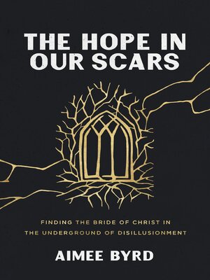 The Hope in Our Scars - ebook